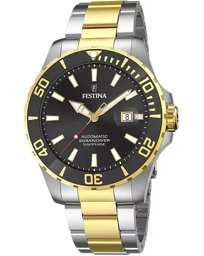 Festina Automatic F20532/2